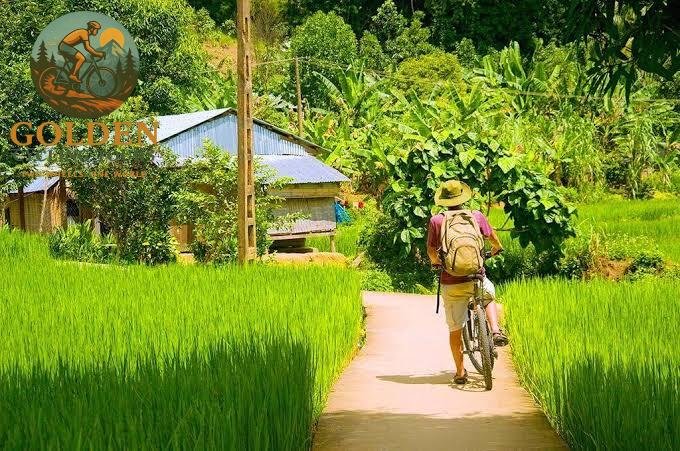 Half-Day Biking to Thuy Bieu Village: Garden Houses & River Cruise